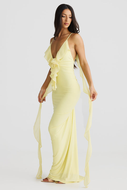 Amara - Exquisite Maxi Dress